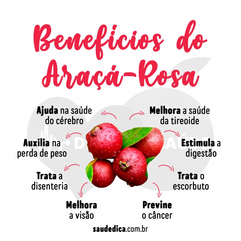 Benefícios do Araçá-Rosa para saúde