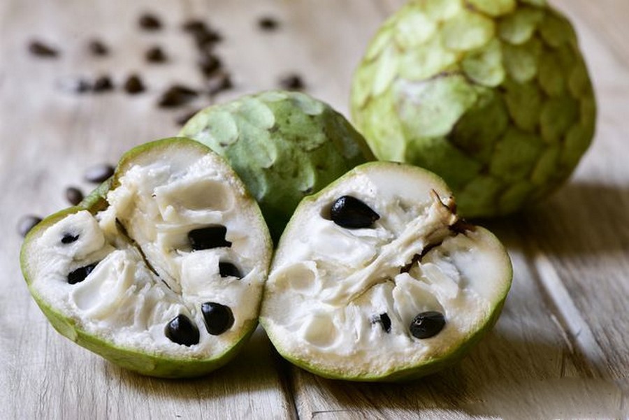 cherimoya 2