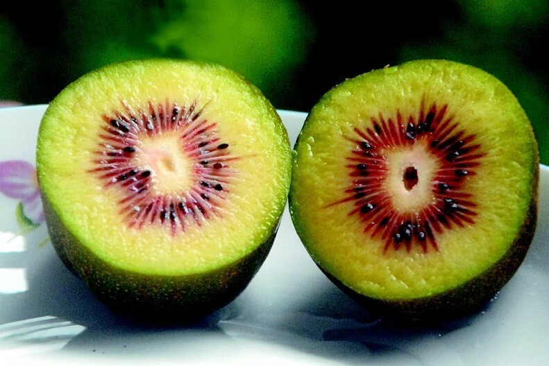 Benefícios do Kiwi Vermelho