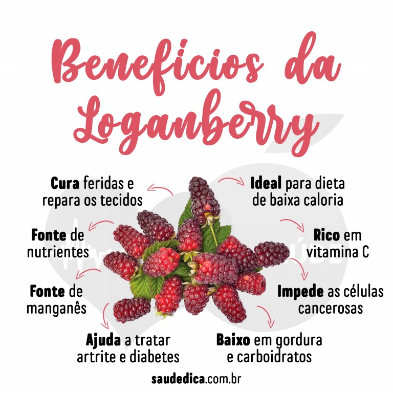 Benefícios da Loganberry para saúde