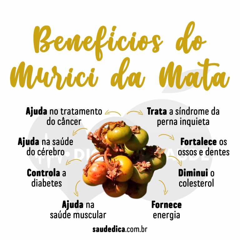 Benefícios do Murici da Mata para saúde