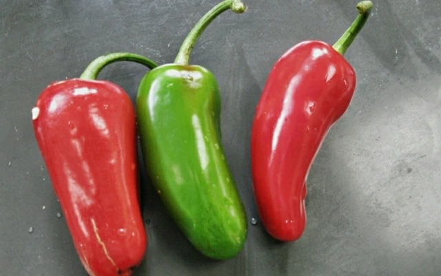 pimenta Jalapeno beneficios