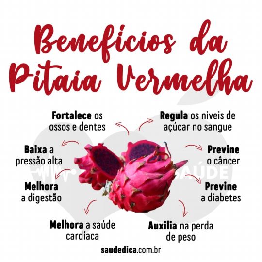 10 Benefícios da Pitaia Vermelha: para que serve? e quais colaterais?