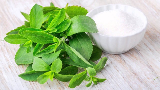 stevia 5