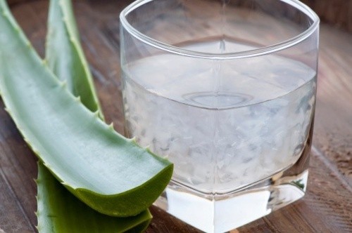 Suco de Aloe Vera Para Tratar Afta