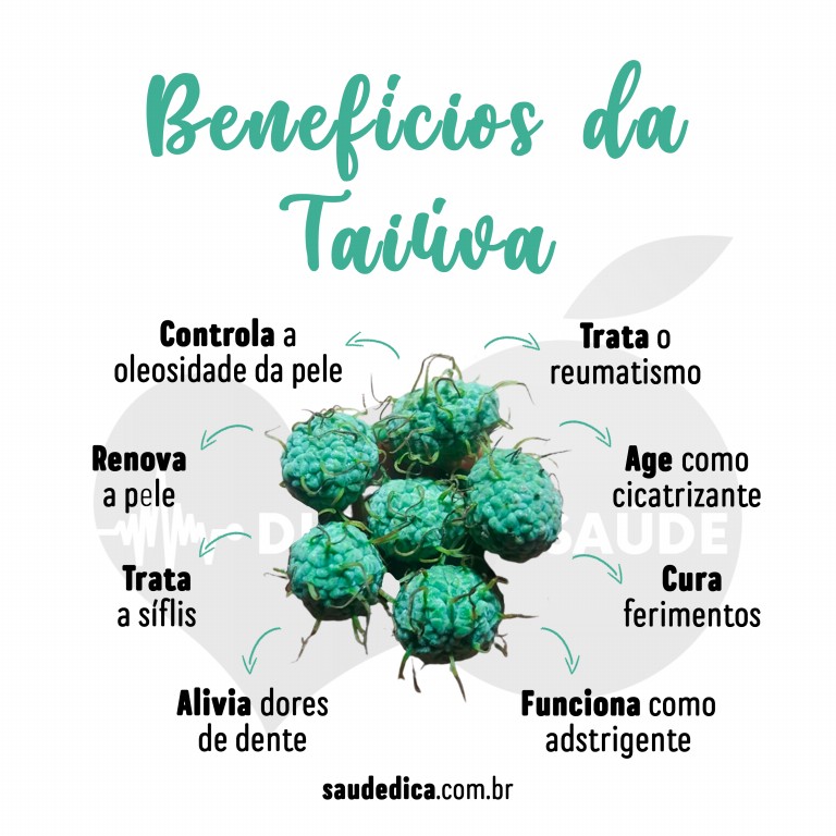 Benefícios da Taiúva para saúde