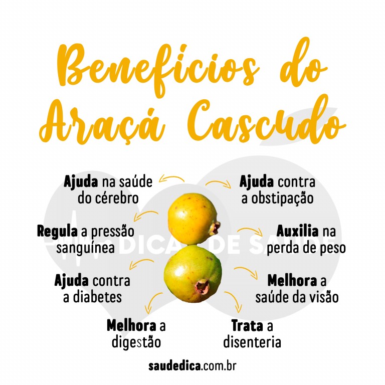 Benefícios do Araçá Cascudo para saúde