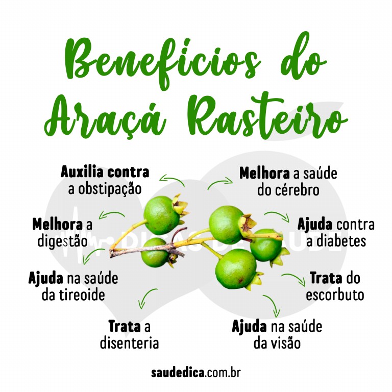 Benefícios do Araçá Rasteiro para saúde