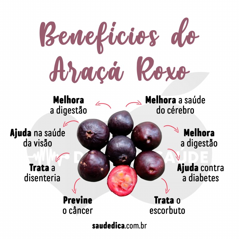 Benefícios do Araçá Roxo para saúde