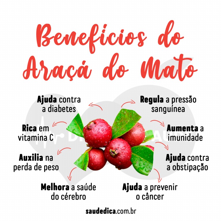 Benefícios do Araçá do Mato