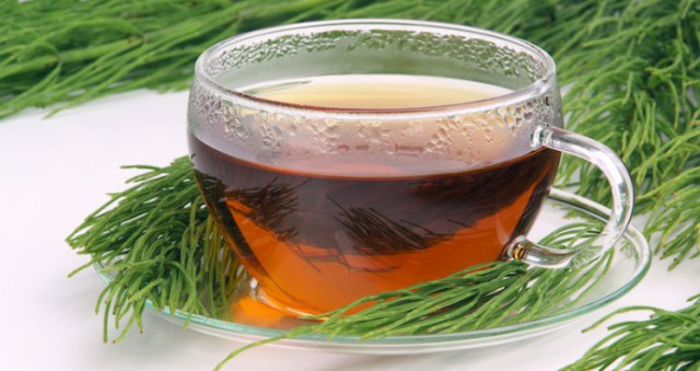 Chá Verde com Cavalinha Para Emagrecer Até 4kg em 15 dias