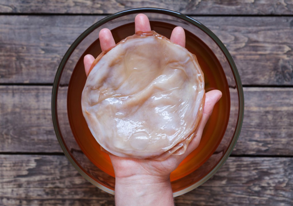 Benefícios do Chá de Kombucha Para Saúde!