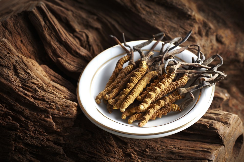 Benefícios do Cordyceps Para Saúde