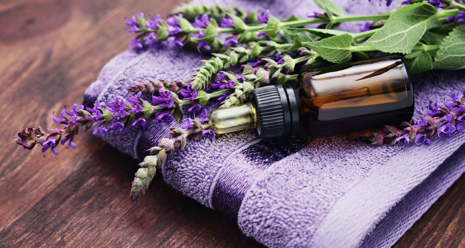 Benefícios da Lavanda Para Saúde!