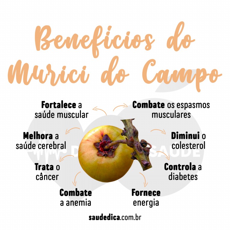 Benefícios do Murici do Campo