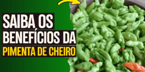 Pimenta de cheiro