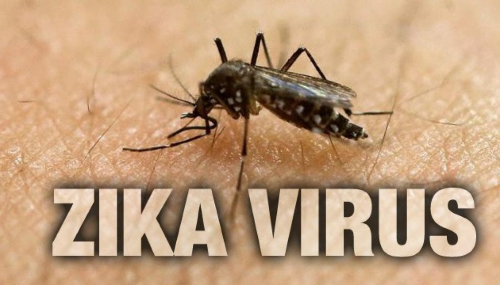Zika Vírus – O que é, Causas, Sintomas e Tratamentos