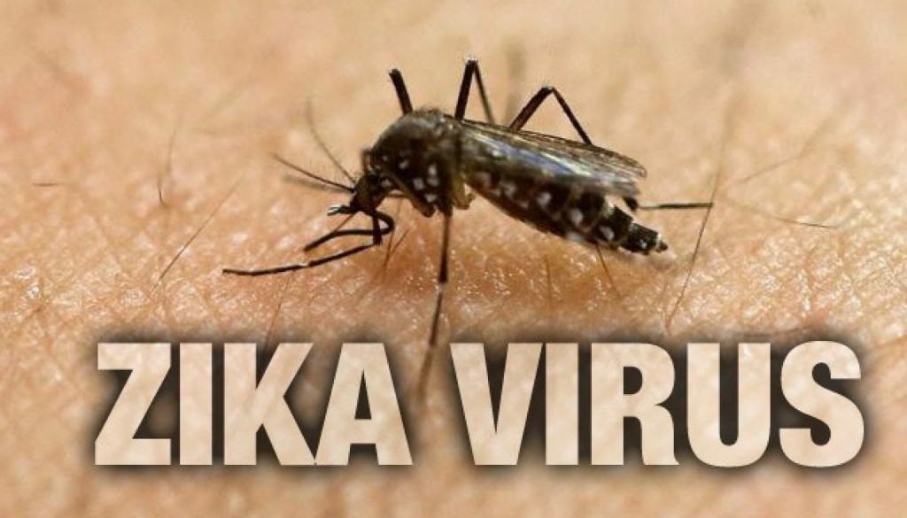 Zika Virus