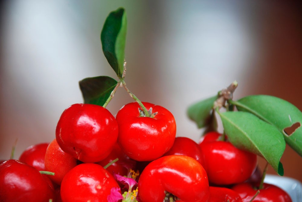 Benefícios do Suco de Acerola