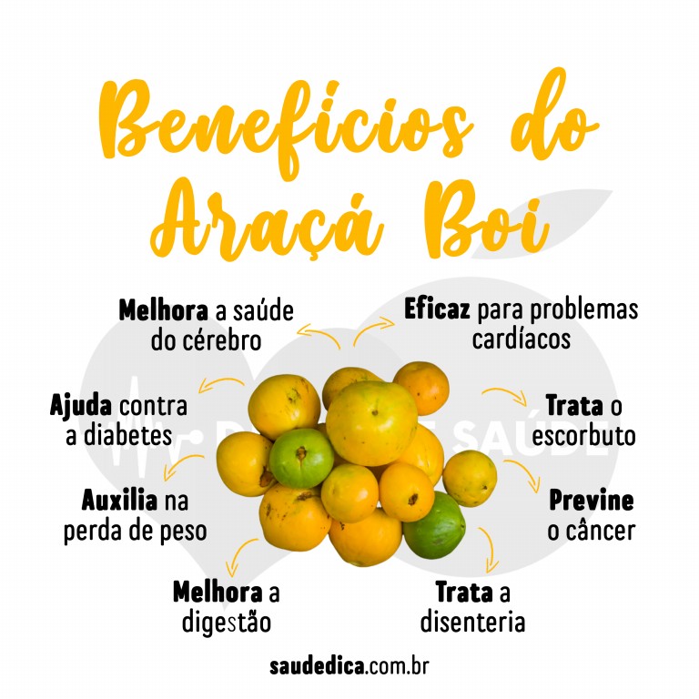 Benefícios do Araçá Boi para saúde