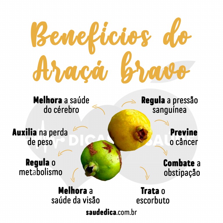 Benefícios do Araçá Bravo para saúde