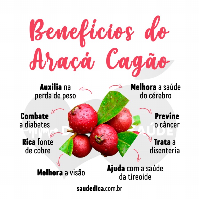 Benefícios do Araçá Cagão para saúde