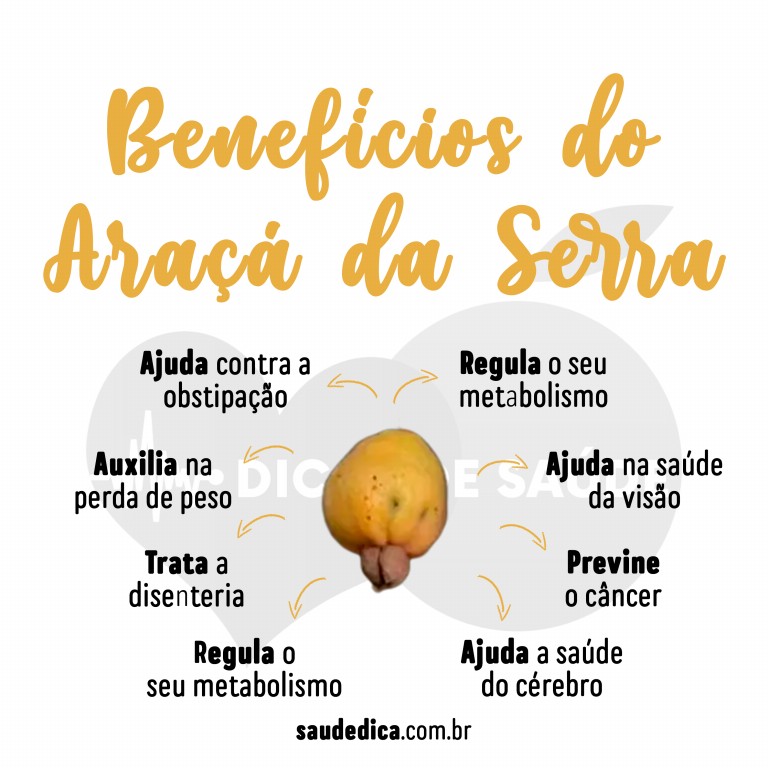 Benefícios do Araçá da Serra para saúde