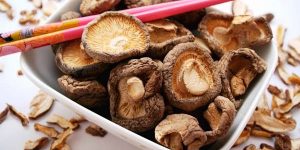 Benefícios do Cogumelo Shitake