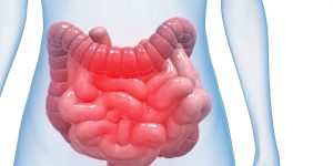 intestino-preso