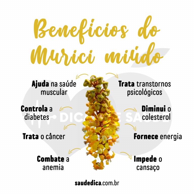 Benefícios do Murici Miúdo para saúde