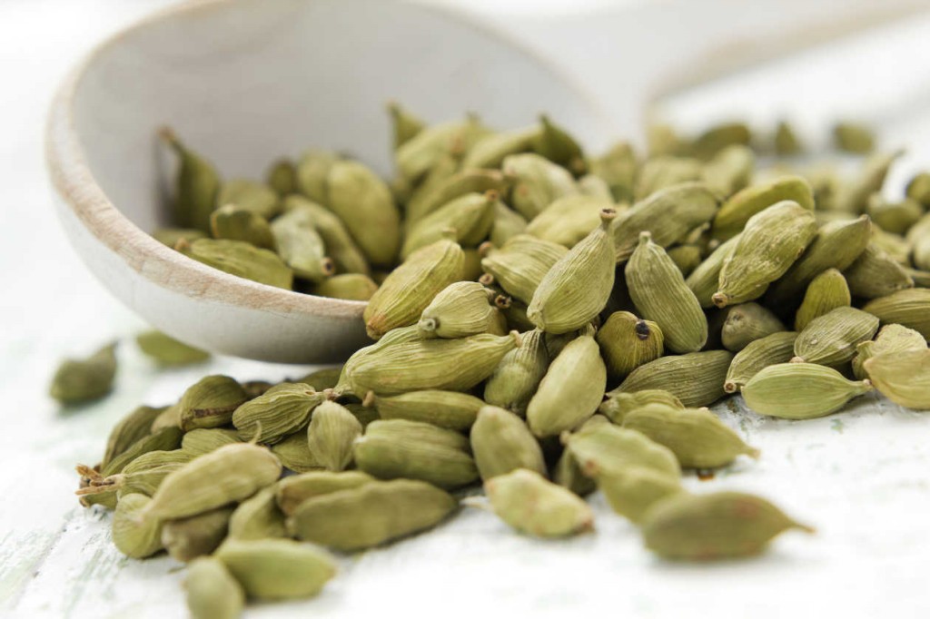 Cardamomo Cardamomo