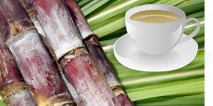 Benefícios do Chá da Cana de Açúcar