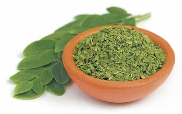 Folhas de Moringa