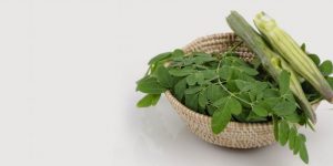 Folhas de Moringa