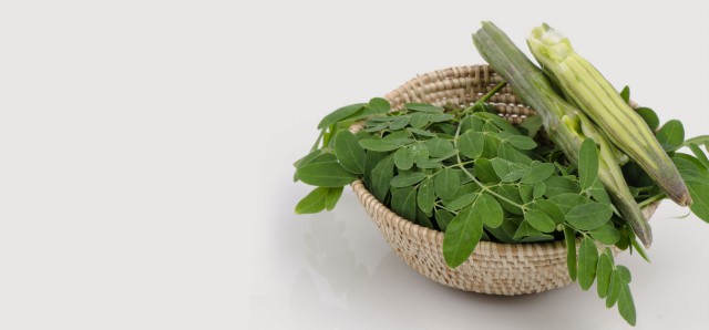 Folhas de Moringa