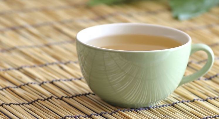 Chá da folha da manga: como fazer, para que serve, benefícios e contraindicações