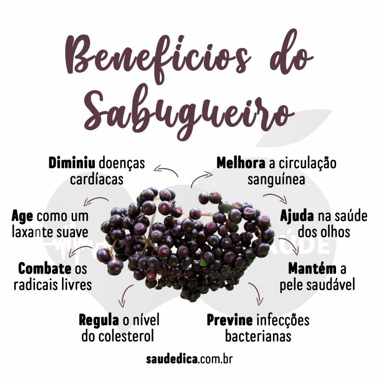 Benefícios do chá de sabugueiro para saúde