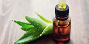 Óleo de Aloe Vera