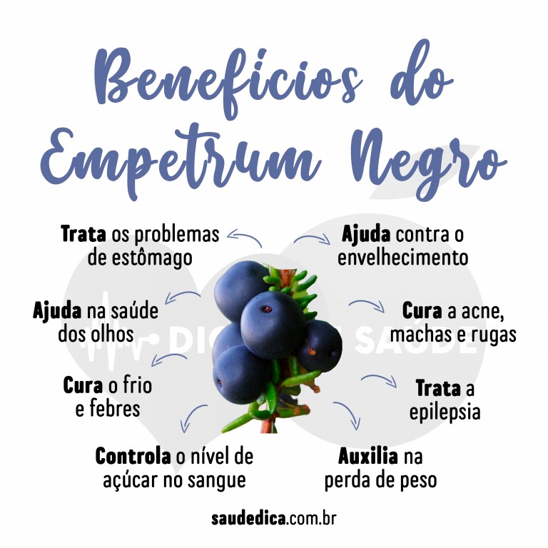 Benefícios do Empetrum Negro para saúde