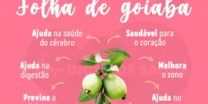 benefícios da folha de goiaba