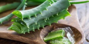 Beneficios do Aloe Vera Para Pele