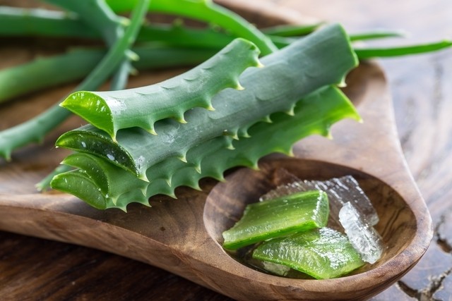 Beneficios do Aloe Vera Para Pele