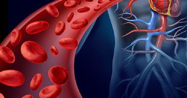 Como Melhorar a Circulação Sanguínea