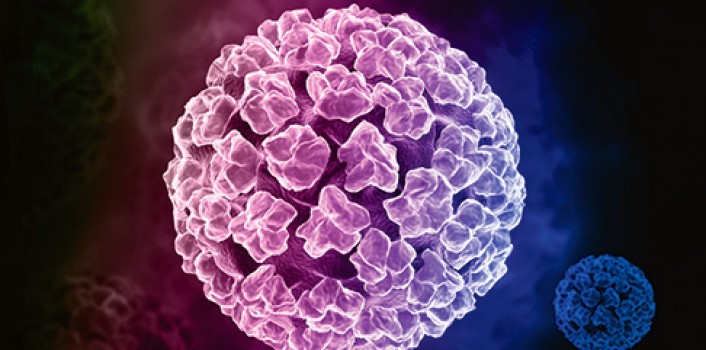 HPV (Papilomavírus Humano)