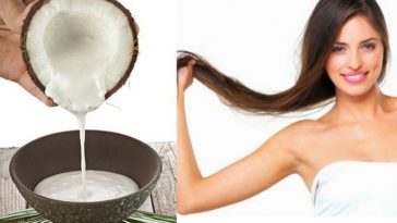 Receitas Caseiras Para Hidratar e Fortalecer o Cabelo
