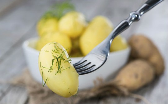 Melhores Alimentos que Contém Carboidrato