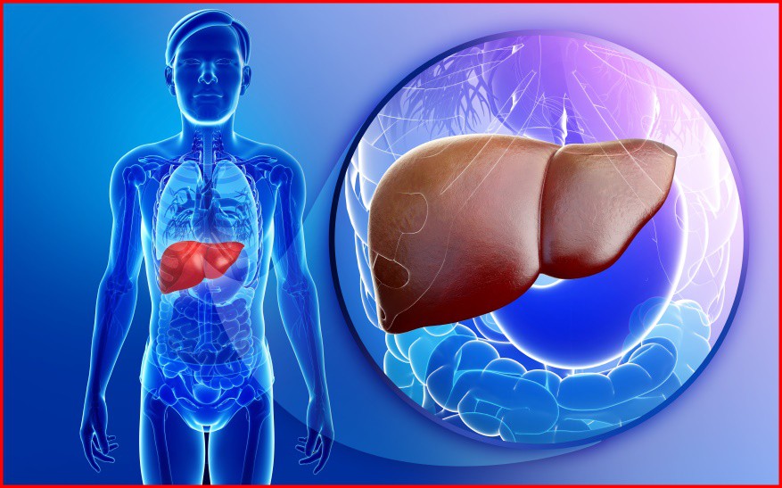 Sintomas de Gordura no Fígado
