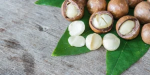 nutrientes da noz-de-macadamia