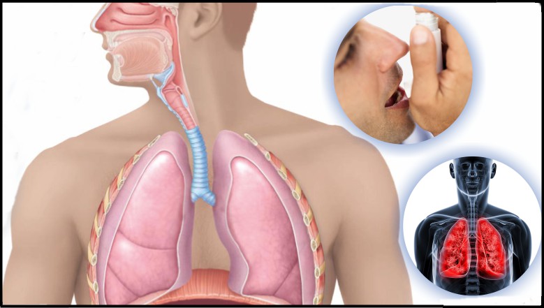 As 3 Melhores Receitas Para Problemas Respiratórios-8
