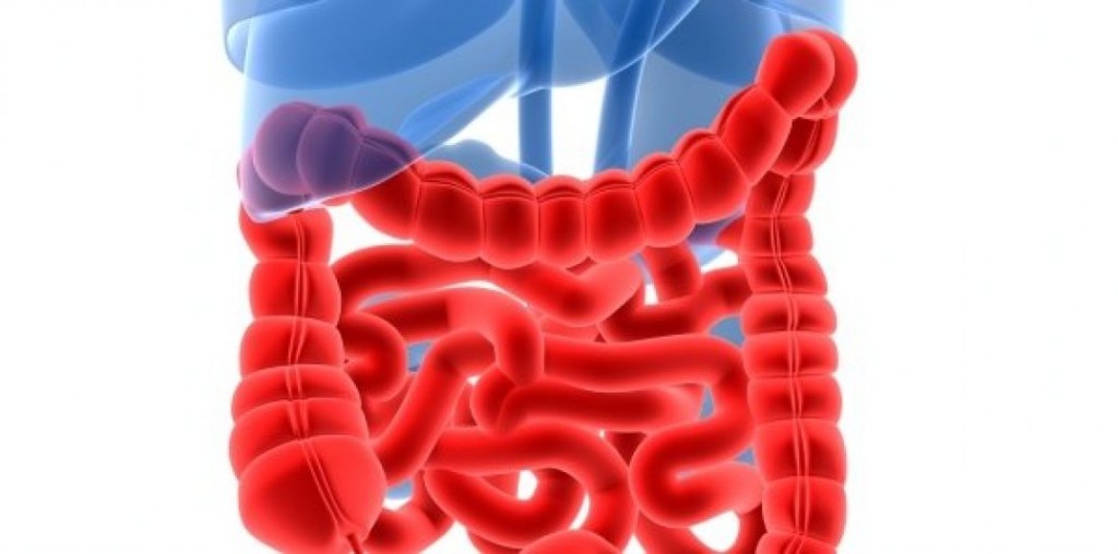Doença de Crohn - Causas, Sintomas e Tratamentos!
